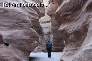 [P20] Red Canyon, Traseul verde, Pereții sunt în continuare înalți » foto by mprofeanu
 - 
<span class="allrVoted glyphicon glyphicon-heart hidden" id="av1148453"></span>
<a class="m-l-10 hidden" id="sv1148453" onclick="voting_Foto_DelVot(,1148453,23430)" role="button">șterge vot <span class="glyphicon glyphicon-remove"></span></a>
<a id="v91148453" class=" c-red"  onclick="voting_Foto_SetVot(1148453)" role="button"><span class="glyphicon glyphicon-heart-empty"></span> <b>LIKE</b> = Votează poza</a> <img class="hidden"  id="f1148453W9" src="/imagini/loader.gif" border="0" /><span class="AjErrMes hidden" id="e1148453ErM"></span>