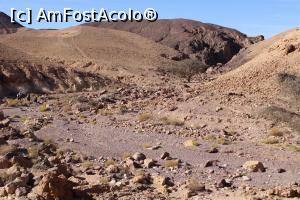 [P52] Împrejurimi Red Canyon, Traseul negru, Poteca plină de pietre, largă la început după ce urcasem » foto by mprofeanu
 - 
<span class="allrVoted glyphicon glyphicon-heart hidden" id="av1148485"></span>
<a class="m-l-10 hidden" id="sv1148485" onclick="voting_Foto_DelVot(,1148485,23430)" role="button">șterge vot <span class="glyphicon glyphicon-remove"></span></a>
<a id="v91148485" class=" c-red"  onclick="voting_Foto_SetVot(1148485)" role="button"><span class="glyphicon glyphicon-heart-empty"></span> <b>LIKE</b> = Votează poza</a> <img class="hidden"  id="f1148485W9" src="/imagini/loader.gif" border="0" /><span class="AjErrMes hidden" id="e1148485ErM"></span>