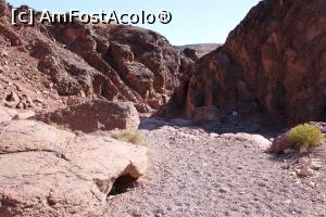 [P56] Împrejurimi Red Canyon, Traseul negru, Peisaj selenar » foto by mprofeanu
 - 
<span class="allrVoted glyphicon glyphicon-heart hidden" id="av1148489"></span>
<a class="m-l-10 hidden" id="sv1148489" onclick="voting_Foto_DelVot(,1148489,23430)" role="button">șterge vot <span class="glyphicon glyphicon-remove"></span></a>
<a id="v91148489" class=" c-red"  onclick="voting_Foto_SetVot(1148489)" role="button"><span class="glyphicon glyphicon-heart-empty"></span> <b>LIKE</b> = Votează poza</a> <img class="hidden"  id="f1148489W9" src="/imagini/loader.gif" border="0" /><span class="AjErrMes hidden" id="e1148489ErM"></span>