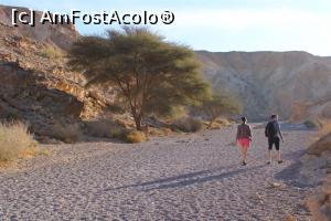 [P07] Red Canyon, Traseul verde, doi din tinerii cu care am venit la canion » foto by mprofeanu
 - 
<span class="allrVoted glyphicon glyphicon-heart hidden" id="av1148440"></span>
<a class="m-l-10 hidden" id="sv1148440" onclick="voting_Foto_DelVot(,1148440,23430)" role="button">șterge vot <span class="glyphicon glyphicon-remove"></span></a>
<a id="v91148440" class=" c-red"  onclick="voting_Foto_SetVot(1148440)" role="button"><span class="glyphicon glyphicon-heart-empty"></span> <b>LIKE</b> = Votează poza</a> <img class="hidden"  id="f1148440W9" src="/imagini/loader.gif" border="0" /><span class="AjErrMes hidden" id="e1148440ErM"></span>