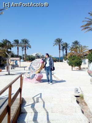 [P34] Eilat 'Fantana muzicala ' (era in renovare)  » foto by viorelgeorgescu
 - 
<span class="allrVoted glyphicon glyphicon-heart hidden" id="av943415"></span>
<a class="m-l-10 hidden" id="sv943415" onclick="voting_Foto_DelVot(,943415,23430)" role="button">șterge vot <span class="glyphicon glyphicon-remove"></span></a>
<a id="v9943415" class=" c-red"  onclick="voting_Foto_SetVot(943415)" role="button"><span class="glyphicon glyphicon-heart-empty"></span> <b>LIKE</b> = Votează poza</a> <img class="hidden"  id="f943415W9" src="/imagini/loader.gif" border="0" /><span class="AjErrMes hidden" id="e943415ErM"></span>