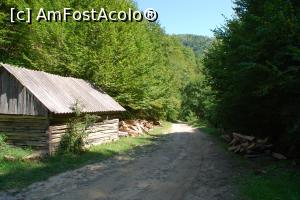 [P10] Drumeție pe lângă apa Blandianei până la Piatra Tomii » foto by Dragoș_MD
 - 
<span class="allrVoted glyphicon glyphicon-heart hidden" id="av942325"></span>
<a class="m-l-10 hidden" id="sv942325" onclick="voting_Foto_DelVot(,942325,23551)" role="button">șterge vot <span class="glyphicon glyphicon-remove"></span></a>
<a id="v9942325" class=" c-red"  onclick="voting_Foto_SetVot(942325)" role="button"><span class="glyphicon glyphicon-heart-empty"></span> <b>LIKE</b> = Votează poza</a> <img class="hidden"  id="f942325W9" src="/imagini/loader.gif" border="0" /><span class="AjErrMes hidden" id="e942325ErM"></span>