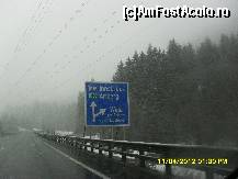 [P70]  -- <small>// FĂRĂ DESCRIERE</small> » foto by adryana
 - 
<span class="allrVoted glyphicon glyphicon-heart hidden" id="av318052"></span>
<a class="m-l-10 hidden" id="sv318052" onclick="voting_Foto_DelVot(,318052,23568)" role="button">șterge vot <span class="glyphicon glyphicon-remove"></span></a>
<a id="v9318052" class=" c-red"  onclick="voting_Foto_SetVot(318052)" role="button"><span class="glyphicon glyphicon-heart-empty"></span> <b>LIKE</b> = Votează poza</a> <img class="hidden"  id="f318052W9" src="/imagini/loader.gif" border="0" /><span class="AjErrMes hidden" id="e318052ErM"></span>