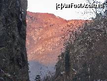 [P34]  -- <small>// FĂRĂ DESCRIERE</small> » foto by Rusalka
 - 
<span class="allrVoted glyphicon glyphicon-heart hidden" id="av210565"></span>
<a class="m-l-10 hidden" id="sv210565" onclick="voting_Foto_DelVot(,210565,23593)" role="button">șterge vot <span class="glyphicon glyphicon-remove"></span></a>
<a id="v9210565" class=" c-red"  onclick="voting_Foto_SetVot(210565)" role="button"><span class="glyphicon glyphicon-heart-empty"></span> <b>LIKE</b> = Votează poza</a> <img class="hidden"  id="f210565W9" src="/imagini/loader.gif" border="0" /><span class="AjErrMes hidden" id="e210565ErM"></span>