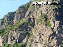 [P01] In drum spre Cascada Lotrisor » foto by mario 110
 - 
<span class="allrVoted glyphicon glyphicon-heart hidden" id="av46902"></span>
<a class="m-l-10 hidden" id="sv46902" onclick="voting_Foto_DelVot(,46902,23593)" role="button">șterge vot <span class="glyphicon glyphicon-remove"></span></a>
<a id="v946902" class=" c-red"  onclick="voting_Foto_SetVot(46902)" role="button"><span class="glyphicon glyphicon-heart-empty"></span> <b>LIKE</b> = Votează poza</a> <img class="hidden"  id="f46902W9" src="/imagini/loader.gif" border="0" /><span class="AjErrMes hidden" id="e46902ErM"></span>