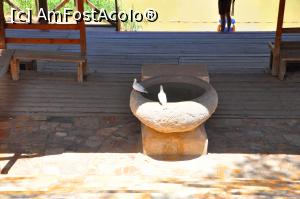 [P19] porumbeii insetati la odihna » foto by alunelu69
 - 
<span class="allrVoted glyphicon glyphicon-heart hidden" id="av958204"></span>
<a class="m-l-10 hidden" id="sv958204" onclick="voting_Foto_DelVot(,958204,23631)" role="button">șterge vot <span class="glyphicon glyphicon-remove"></span></a>
<a id="v9958204" class=" c-red"  onclick="voting_Foto_SetVot(958204)" role="button"><span class="glyphicon glyphicon-heart-empty"></span> <b>LIKE</b> = Votează poza</a> <img class="hidden"  id="f958204W9" src="/imagini/loader.gif" border="0" /><span class="AjErrMes hidden" id="e958204ErM"></span>