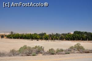 [P05] oaza de verdeata ce marcheaza apropierea de locul Botezului » foto by alunelu69
 - 
<span class="allrVoted glyphicon glyphicon-heart hidden" id="av958190"></span>
<a class="m-l-10 hidden" id="sv958190" onclick="voting_Foto_DelVot(,958190,23631)" role="button">șterge vot <span class="glyphicon glyphicon-remove"></span></a>
<a id="v9958190" class=" c-red"  onclick="voting_Foto_SetVot(958190)" role="button"><span class="glyphicon glyphicon-heart-empty"></span> <b>LIKE</b> = Votează poza</a> <img class="hidden"  id="f958190W9" src="/imagini/loader.gif" border="0" /><span class="AjErrMes hidden" id="e958190ErM"></span>