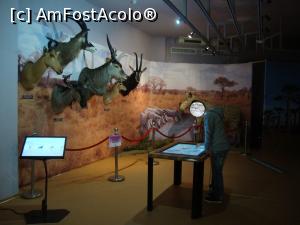 [P70] O altă zonă a expoziției temporare ”Africa”. Remarcăm ecranele care oferă accesul la informații despre exponatele prezente aici.  » foto by Floryn81
 - 
<span class="allrVoted glyphicon glyphicon-heart hidden" id="av747559"></span>
<a class="m-l-10 hidden" id="sv747559" onclick="voting_Foto_DelVot(,747559,23670)" role="button">șterge vot <span class="glyphicon glyphicon-remove"></span></a>
<a id="v9747559" class=" c-red"  onclick="voting_Foto_SetVot(747559)" role="button"><span class="glyphicon glyphicon-heart-empty"></span> <b>LIKE</b> = Votează poza</a> <img class="hidden"  id="f747559W9" src="/imagini/loader.gif" border="0" /><span class="AjErrMes hidden" id="e747559ErM"></span>