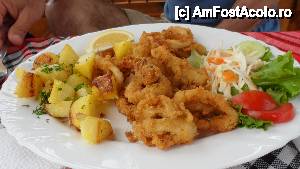 [P11] 'Restaurant Kalisto' / o portie de calamari pane cu garnitura » foto by amero
 - 
<span class="allrVoted glyphicon glyphicon-heart hidden" id="av447316"></span>
<a class="m-l-10 hidden" id="sv447316" onclick="voting_Foto_DelVot(,447316,23685)" role="button">șterge vot <span class="glyphicon glyphicon-remove"></span></a>
<a id="v9447316" class=" c-red"  onclick="voting_Foto_SetVot(447316)" role="button"><span class="glyphicon glyphicon-heart-empty"></span> <b>LIKE</b> = Votează poza</a> <img class="hidden"  id="f447316W9" src="/imagini/loader.gif" border="0" /><span class="AjErrMes hidden" id="e447316ErM"></span>