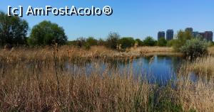 [P15] Parcul Natural Văcărești - pe poteca biodiversității urbane » foto by Dragoș_MD
 - 
<span class="allrVoted glyphicon glyphicon-heart hidden" id="av963934"></span>
<a class="m-l-10 hidden" id="sv963934" onclick="voting_Foto_DelVot(,963934,23697)" role="button">șterge vot <span class="glyphicon glyphicon-remove"></span></a>
<a id="v9963934" class=" c-red"  onclick="voting_Foto_SetVot(963934)" role="button"><span class="glyphicon glyphicon-heart-empty"></span> <b>LIKE</b> = Votează poza</a> <img class="hidden"  id="f963934W9" src="/imagini/loader.gif" border="0" /><span class="AjErrMes hidden" id="e963934ErM"></span>