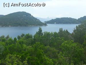 [P11] Parcul Național Mljet.  » foto by Aurici
 - 
<span class="allrVoted glyphicon glyphicon-heart hidden" id="av1017331"></span>
<a class="m-l-10 hidden" id="sv1017331" onclick="voting_Foto_DelVot(,1017331,23764)" role="button">șterge vot <span class="glyphicon glyphicon-remove"></span></a>
<a id="v91017331" class=" c-red"  onclick="voting_Foto_SetVot(1017331)" role="button"><span class="glyphicon glyphicon-heart-empty"></span> <b>LIKE</b> = Votează poza</a> <img class="hidden"  id="f1017331W9" src="/imagini/loader.gif" border="0" /><span class="AjErrMes hidden" id="e1017331ErM"></span>