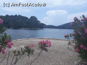 [P13] Parcul Național Mljet - în așteptarea bărcuței pentru a ajunge pe micuța insuliță Sf Maria (inculă pe insulă).  » foto by Aurici
 - 
<span class="allrVoted glyphicon glyphicon-heart hidden" id="av1017333"></span>
<a class="m-l-10 hidden" id="sv1017333" onclick="voting_Foto_DelVot(,1017333,23764)" role="button">șterge vot <span class="glyphicon glyphicon-remove"></span></a>
<a id="v91017333" class=" c-red"  onclick="voting_Foto_SetVot(1017333)" role="button"><span class="glyphicon glyphicon-heart-empty"></span> <b>LIKE</b> = Votează poza</a> <img class="hidden"  id="f1017333W9" src="/imagini/loader.gif" border="0" /><span class="AjErrMes hidden" id="e1017333ErM"></span>