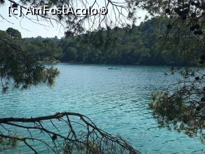 [P36] Paradis în Insula Mljet.  » foto by Aurici
 - 
<span class="allrVoted glyphicon glyphicon-heart hidden" id="av1017356"></span>
<a class="m-l-10 hidden" id="sv1017356" onclick="voting_Foto_DelVot(,1017356,23764)" role="button">șterge vot <span class="glyphicon glyphicon-remove"></span></a>
<a id="v91017356" class=" c-red"  onclick="voting_Foto_SetVot(1017356)" role="button"><span class="glyphicon glyphicon-heart-empty"></span> <b>LIKE</b> = Votează poza</a> <img class="hidden"  id="f1017356W9" src="/imagini/loader.gif" border="0" /><span class="AjErrMes hidden" id="e1017356ErM"></span>