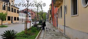 [P06] Strada Rio Terrà dei Penseri, porumbei hrăniți de rezidenții Il Veliero Romantico » foto by irinad
 - 
<span class="allrVoted glyphicon glyphicon-heart hidden" id="av1475600"></span>
<a class="m-l-10 hidden" id="sv1475600" onclick="voting_Foto_DelVot(,1475600,23911)" role="button">șterge vot <span class="glyphicon glyphicon-remove"></span></a>
<a id="v91475600" class=" c-red"  onclick="voting_Foto_SetVot(1475600)" role="button"><span class="glyphicon glyphicon-heart-empty"></span> <b>LIKE</b> = Votează poza</a> <img class="hidden"  id="f1475600W9" src="/imagini/loader.gif" border="0" /><span class="AjErrMes hidden" id="e1475600ErM"></span>