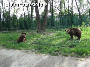 [P08] Grădina Zoo Bucov - Ploiești.  » foto by tata123 🔱
 - 
<span class="allrVoted glyphicon glyphicon-heart hidden" id="av860761"></span>
<a class="m-l-10 hidden" id="sv860761" onclick="voting_Foto_DelVot(,860761,23926)" role="button">șterge vot <span class="glyphicon glyphicon-remove"></span></a>
<a id="v9860761" class=" c-red"  onclick="voting_Foto_SetVot(860761)" role="button"><span class="glyphicon glyphicon-heart-empty"></span> <b>LIKE</b> = Votează poza</a> <img class="hidden"  id="f860761W9" src="/imagini/loader.gif" border="0" /><span class="AjErrMes hidden" id="e860761ErM"></span>