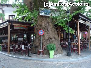 [P20] ... şi concurenţa - taverna Platanos!  » foto by marocanu21
 - 
<span class="allrVoted glyphicon glyphicon-heart hidden" id="av691942"></span>
<a class="m-l-10 hidden" id="sv691942" onclick="voting_Foto_DelVot(,691942,24035)" role="button">șterge vot <span class="glyphicon glyphicon-remove"></span></a>
<a id="v9691942" class=" c-red"  onclick="voting_Foto_SetVot(691942)" role="button"><span class="glyphicon glyphicon-heart-empty"></span> <b>LIKE</b> = Votează poza</a> <img class="hidden"  id="f691942W9" src="/imagini/loader.gif" border="0" /><span class="AjErrMes hidden" id="e691942ErM"></span>
