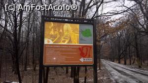 [P03] Indicatoare din padure » foto by Cdia
 - 
<span class="allrVoted glyphicon glyphicon-heart hidden" id="av994545"></span>
<a class="m-l-10 hidden" id="sv994545" onclick="voting_Foto_DelVot(,994545,24101)" role="button">șterge vot <span class="glyphicon glyphicon-remove"></span></a>
<a id="v9994545" class=" c-red"  onclick="voting_Foto_SetVot(994545)" role="button"><span class="glyphicon glyphicon-heart-empty"></span> <b>LIKE</b> = Votează poza</a> <img class="hidden"  id="f994545W9" src="/imagini/loader.gif" border="0" /><span class="AjErrMes hidden" id="e994545ErM"></span>