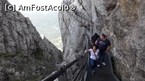 [P24] Pilatus » foto by PISICAANA
 - 
<span class="allrVoted glyphicon glyphicon-heart hidden" id="av930292"></span>
<a class="m-l-10 hidden" id="sv930292" onclick="voting_Foto_DelVot(,930292,24136)" role="button">șterge vot <span class="glyphicon glyphicon-remove"></span></a>
<a id="v9930292" class=" c-red"  onclick="voting_Foto_SetVot(930292)" role="button"><span class="glyphicon glyphicon-heart-empty"></span> <b>LIKE</b> = Votează poza</a> <img class="hidden"  id="f930292W9" src="/imagini/loader.gif" border="0" /><span class="AjErrMes hidden" id="e930292ErM"></span>