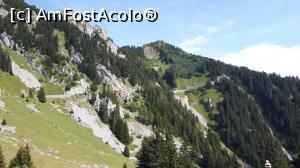 [P41] Spre Schynige Platte » foto by PISICAANA
 - 
<span class="allrVoted glyphicon glyphicon-heart hidden" id="av930309"></span>
<a class="m-l-10 hidden" id="sv930309" onclick="voting_Foto_DelVot(,930309,24136)" role="button">șterge vot <span class="glyphicon glyphicon-remove"></span></a>
<a id="v9930309" class=" c-red"  onclick="voting_Foto_SetVot(930309)" role="button"><span class="glyphicon glyphicon-heart-empty"></span> <b>LIKE</b> = Votează poza</a> <img class="hidden"  id="f930309W9" src="/imagini/loader.gif" border="0" /><span class="AjErrMes hidden" id="e930309ErM"></span>