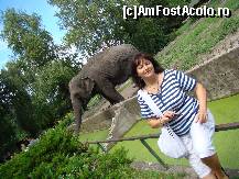 [P10] Un elefant nazdravan,care lua pamantul cu trompa si-l arunca unde vroia el! » foto by georgiana
 - 
<span class="allrVoted glyphicon glyphicon-heart hidden" id="av151919"></span>
<a class="m-l-10 hidden" id="sv151919" onclick="voting_Foto_DelVot(,151919,24215)" role="button">șterge vot <span class="glyphicon glyphicon-remove"></span></a>
<a id="v9151919" class=" c-red"  onclick="voting_Foto_SetVot(151919)" role="button"><span class="glyphicon glyphicon-heart-empty"></span> <b>LIKE</b> = Votează poza</a> <img class="hidden"  id="f151919W9" src="/imagini/loader.gif" border="0" /><span class="AjErrMes hidden" id="e151919ErM"></span>