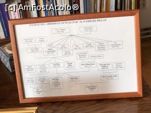 [P38] Colectia Pillat - arborele genealogic » foto by Dan&Ema
 - 
<span class="allrVoted glyphicon glyphicon-heart hidden" id="av1205927"></span>
<a class="m-l-10 hidden" id="sv1205927" onclick="voting_Foto_DelVot(,1205927,24259)" role="button">șterge vot <span class="glyphicon glyphicon-remove"></span></a>
<a id="v91205927" class=" c-red"  onclick="voting_Foto_SetVot(1205927)" role="button"><span class="glyphicon glyphicon-heart-empty"></span> <b>LIKE</b> = Votează poza</a> <img class="hidden"  id="f1205927W9" src="/imagini/loader.gif" border="0" /><span class="AjErrMes hidden" id="e1205927ErM"></span>