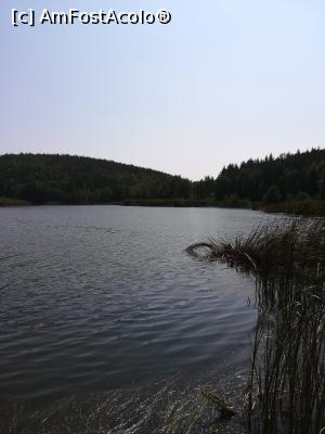 [P16] Detaliu Lacul Mocearu » foto by olteanul2010
 - 
<span class="allrVoted glyphicon glyphicon-heart hidden" id="av1010594"></span>
<a class="m-l-10 hidden" id="sv1010594" onclick="voting_Foto_DelVot(,1010594,24341)" role="button">șterge vot <span class="glyphicon glyphicon-remove"></span></a>
<a id="v91010594" class=" c-red"  onclick="voting_Foto_SetVot(1010594)" role="button"><span class="glyphicon glyphicon-heart-empty"></span> <b>LIKE</b> = Votează poza</a> <img class="hidden"  id="f1010594W9" src="/imagini/loader.gif" border="0" /><span class="AjErrMes hidden" id="e1010594ErM"></span>