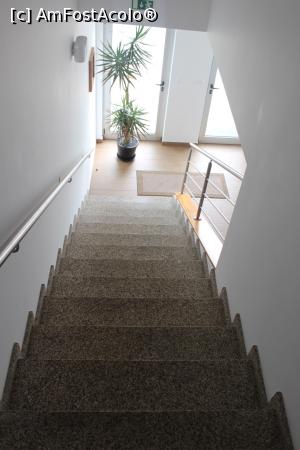 [P25] Insula Faial, Horta, Pensiunea Monte da Guia, Parterul și Scările ce duc la etaj...  » foto by mprofeanu
 - 
<span class="allrVoted glyphicon glyphicon-heart hidden" id="av1011373"></span>
<a class="m-l-10 hidden" id="sv1011373" onclick="voting_Foto_DelVot(,1011373,24353)" role="button">șterge vot <span class="glyphicon glyphicon-remove"></span></a>
<a id="v91011373" class=" c-red"  onclick="voting_Foto_SetVot(1011373)" role="button"><span class="glyphicon glyphicon-heart-empty"></span> <b>LIKE</b> = Votează poza</a> <img class="hidden"  id="f1011373W9" src="/imagini/loader.gif" border="0" /><span class="AjErrMes hidden" id="e1011373ErM"></span>