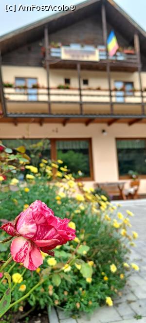 [P12] Curte și pensiune. » foto by tata123 🔱
 - 
<span class="allrVoted glyphicon glyphicon-heart hidden" id="av1501066"></span>
<a class="m-l-10 hidden" id="sv1501066" onclick="voting_Foto_DelVot(,1501066,24358)" role="button">șterge vot <span class="glyphicon glyphicon-remove"></span></a>
<a id="v91501066" class=" c-red"  onclick="voting_Foto_SetVot(1501066)" role="button"><span class="glyphicon glyphicon-heart-empty"></span> <b>LIKE</b> = Votează poza</a> <img class="hidden"  id="f1501066W9" src="/imagini/loader.gif" border="0" /><span class="AjErrMes hidden" id="e1501066ErM"></span>