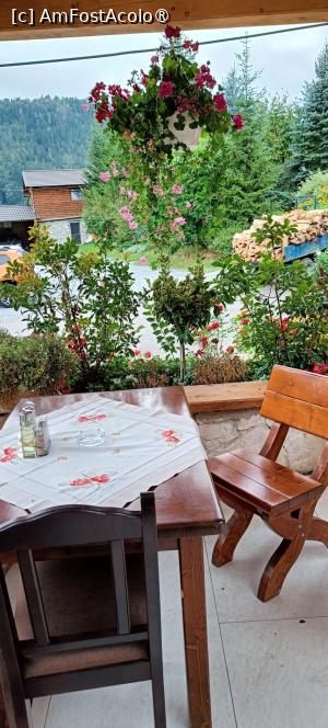 [P04] Mobilier pe terasă. » foto by tata123 🔱
 - 
<span class="allrVoted glyphicon glyphicon-heart hidden" id="av1501058"></span>
<a class="m-l-10 hidden" id="sv1501058" onclick="voting_Foto_DelVot(,1501058,24358)" role="button">șterge vot <span class="glyphicon glyphicon-remove"></span></a>
<a id="v91501058" class=" c-red"  onclick="voting_Foto_SetVot(1501058)" role="button"><span class="glyphicon glyphicon-heart-empty"></span> <b>LIKE</b> = Votează poza</a> <img class="hidden"  id="f1501058W9" src="/imagini/loader.gif" border="0" /><span class="AjErrMes hidden" id="e1501058ErM"></span>