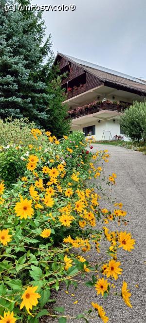 [P05] Spre corpul de pensiune de pe costișă. » foto by tata123 🔱
 - 
<span class="allrVoted glyphicon glyphicon-heart hidden" id="av1501059"></span>
<a class="m-l-10 hidden" id="sv1501059" onclick="voting_Foto_DelVot(,1501059,24358)" role="button">șterge vot <span class="glyphicon glyphicon-remove"></span></a>
<a id="v91501059" class=" c-red"  onclick="voting_Foto_SetVot(1501059)" role="button"><span class="glyphicon glyphicon-heart-empty"></span> <b>LIKE</b> = Votează poza</a> <img class="hidden"  id="f1501059W9" src="/imagini/loader.gif" border="0" /><span class="AjErrMes hidden" id="e1501059ErM"></span>