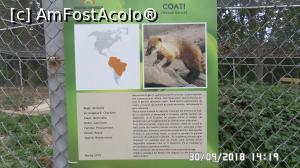 [P15] Grădina zoologică „Ioan Crișan” Reșița.  » foto by ungureanica
 - 
<span class="allrVoted glyphicon glyphicon-heart hidden" id="av1016315"></span>
<a class="m-l-10 hidden" id="sv1016315" onclick="voting_Foto_DelVot(,1016315,24407)" role="button">șterge vot <span class="glyphicon glyphicon-remove"></span></a>
<a id="v91016315" class=" c-red"  onclick="voting_Foto_SetVot(1016315)" role="button"><span class="glyphicon glyphicon-heart-empty"></span> <b>LIKE</b> = Votează poza</a> <img class="hidden"  id="f1016315W9" src="/imagini/loader.gif" border="0" /><span class="AjErrMes hidden" id="e1016315ErM"></span>