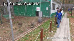 [P34] Grădina zoologică „Ioan Crișan” Reșița.  » foto by ungureanica
 - 
<span class="allrVoted glyphicon glyphicon-heart hidden" id="av1016334"></span>
<a class="m-l-10 hidden" id="sv1016334" onclick="voting_Foto_DelVot(,1016334,24407)" role="button">șterge vot <span class="glyphicon glyphicon-remove"></span></a>
<a id="v91016334" class=" c-red"  onclick="voting_Foto_SetVot(1016334)" role="button"><span class="glyphicon glyphicon-heart-empty"></span> <b>LIKE</b> = Votează poza</a> <img class="hidden"  id="f1016334W9" src="/imagini/loader.gif" border="0" /><span class="AjErrMes hidden" id="e1016334ErM"></span>