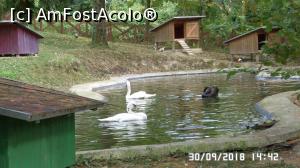 [P38] Grădina zoologică „Ioan Crișan” Reșița.  » foto by ungureanica
 - 
<span class="allrVoted glyphicon glyphicon-heart hidden" id="av1016338"></span>
<a class="m-l-10 hidden" id="sv1016338" onclick="voting_Foto_DelVot(,1016338,24407)" role="button">șterge vot <span class="glyphicon glyphicon-remove"></span></a>
<a id="v91016338" class=" c-red"  onclick="voting_Foto_SetVot(1016338)" role="button"><span class="glyphicon glyphicon-heart-empty"></span> <b>LIKE</b> = Votează poza</a> <img class="hidden"  id="f1016338W9" src="/imagini/loader.gif" border="0" /><span class="AjErrMes hidden" id="e1016338ErM"></span>