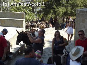 [P21] Staţia de taxiuri locale: măgăruşii!  » foto by irinad
 - 
<span class="allrVoted glyphicon glyphicon-heart hidden" id="av1057102"></span>
<a class="m-l-10 hidden" id="sv1057102" onclick="voting_Foto_DelVot(,1057102,24422)" role="button">șterge vot <span class="glyphicon glyphicon-remove"></span></a>
<a id="v91057102" class=" c-red"  onclick="voting_Foto_SetVot(1057102)" role="button"><span class="glyphicon glyphicon-heart-empty"></span> <b>LIKE</b> = Votează poza</a> <img class="hidden"  id="f1057102W9" src="/imagini/loader.gif" border="0" /><span class="AjErrMes hidden" id="e1057102ErM"></span>