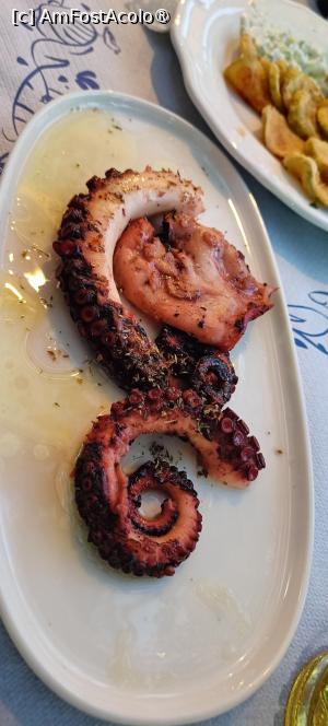 [P10] Caracatiță la grătar. » foto by tata123 🔱
 - 
<span class="allrVoted glyphicon glyphicon-heart hidden" id="av1489777"></span>
<a class="m-l-10 hidden" id="sv1489777" onclick="voting_Foto_DelVot(,1489777,24481)" role="button">șterge vot <span class="glyphicon glyphicon-remove"></span></a>
<a id="v91489777" class=" c-red"  onclick="voting_Foto_SetVot(1489777)" role="button"><span class="glyphicon glyphicon-heart-empty"></span> <b>LIKE</b> = Votează poza</a> <img class="hidden"  id="f1489777W9" src="/imagini/loader.gif" border="0" /><span class="AjErrMes hidden" id="e1489777ErM"></span>