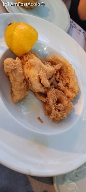 [P11] Calamari prăjiți. » foto by tata123 🔱
 - 
<span class="allrVoted glyphicon glyphicon-heart hidden" id="av1489778"></span>
<a class="m-l-10 hidden" id="sv1489778" onclick="voting_Foto_DelVot(,1489778,24481)" role="button">șterge vot <span class="glyphicon glyphicon-remove"></span></a>
<a id="v91489778" class=" c-red"  onclick="voting_Foto_SetVot(1489778)" role="button"><span class="glyphicon glyphicon-heart-empty"></span> <b>LIKE</b> = Votează poza</a> <img class="hidden"  id="f1489778W9" src="/imagini/loader.gif" border="0" /><span class="AjErrMes hidden" id="e1489778ErM"></span>