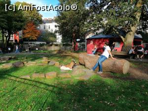 [P37] O mini gradina zoo pentru copii, în parcul botanic » foto by dognean
 - 
<span class="allrVoted glyphicon glyphicon-heart hidden" id="av1027197"></span>
<a class="m-l-10 hidden" id="sv1027197" onclick="voting_Foto_DelVot(,1027197,24540)" role="button">șterge vot <span class="glyphicon glyphicon-remove"></span></a>
<a id="v91027197" class=" c-red"  onclick="voting_Foto_SetVot(1027197)" role="button"><span class="glyphicon glyphicon-heart-empty"></span> <b>LIKE</b> = Votează poza</a> <img class="hidden"  id="f1027197W9" src="/imagini/loader.gif" border="0" /><span class="AjErrMes hidden" id="e1027197ErM"></span>