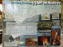 [P07] Pestera Veterani - Cazanele Mari - Clisura Dunarii. Poza marita ofera multe informatii suplimentare despre aceasta pestera.  » foto by TaniaT
 - 
<span class="allrVoted glyphicon glyphicon-heart hidden" id="av347206"></span>
<a class="m-l-10 hidden" id="sv347206" onclick="voting_Foto_DelVot(,347206,24544)" role="button">șterge vot <span class="glyphicon glyphicon-remove"></span></a>
<a id="v9347206" class=" c-red"  onclick="voting_Foto_SetVot(347206)" role="button"><span class="glyphicon glyphicon-heart-empty"></span> <b>LIKE</b> = Votează poza</a> <img class="hidden"  id="f347206W9" src="/imagini/loader.gif" border="0" /><span class="AjErrMes hidden" id="e347206ErM"></span>