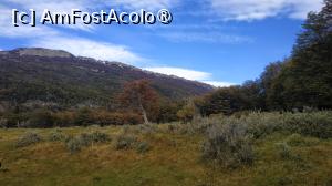 [P15] plimbare în Parcul Tierra del Fuego » foto by elenaadina
 - 
<span class="allrVoted glyphicon glyphicon-heart hidden" id="av1522799"></span>
<a class="m-l-10 hidden" id="sv1522799" onclick="voting_Foto_DelVot(,1522799,24560)" role="button">șterge vot <span class="glyphicon glyphicon-remove"></span></a>
<a id="v91522799" class=" c-red"  onclick="voting_Foto_SetVot(1522799)" role="button"><span class="glyphicon glyphicon-heart-empty"></span> <b>LIKE</b> = Votează poza</a> <img class="hidden"  id="f1522799W9" src="/imagini/loader.gif" border="0" /><span class="AjErrMes hidden" id="e1522799ErM"></span>