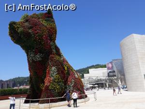 [P03] Jeff Koons -Puppy, gardianul muzeului, un catelus floral pe latura sudică, e îmbrăcat în haine de primăvară, proaspete.  » foto by mireille
 - 
<span class="allrVoted glyphicon glyphicon-heart hidden" id="av1028412"></span>
<a class="m-l-10 hidden" id="sv1028412" onclick="voting_Foto_DelVot(,1028412,24561)" role="button">șterge vot <span class="glyphicon glyphicon-remove"></span></a>
<a id="v91028412" class=" c-red"  onclick="voting_Foto_SetVot(1028412)" role="button"><span class="glyphicon glyphicon-heart-empty"></span> <b>LIKE</b> = Votează poza</a> <img class="hidden"  id="f1028412W9" src="/imagini/loader.gif" border="0" /><span class="AjErrMes hidden" id="e1028412ErM"></span>