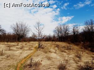 [P17] circuit Vf. Ciucărul Mare<p> platoul » foto by Dana2008
 - 
<span class="allrVoted glyphicon glyphicon-heart hidden" id="av1060251"></span>
<a class="m-l-10 hidden" id="sv1060251" onclick="voting_Foto_DelVot(,1060251,24578)" role="button">șterge vot <span class="glyphicon glyphicon-remove"></span></a>
<a id="v91060251" class=" c-red"  onclick="voting_Foto_SetVot(1060251)" role="button"><span class="glyphicon glyphicon-heart-empty"></span> <b>LIKE</b> = Votează poza</a> <img class="hidden"  id="f1060251W9" src="/imagini/loader.gif" border="0" /><span class="AjErrMes hidden" id="e1060251ErM"></span>