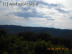 [P10] padure cât vezi cu ochii » foto by zlatna
 - 
<span class="allrVoted glyphicon glyphicon-heart hidden" id="av1030453"></span>
<a class="m-l-10 hidden" id="sv1030453" onclick="voting_Foto_DelVot(,1030453,24578)" role="button">șterge vot <span class="glyphicon glyphicon-remove"></span></a>
<a id="v91030453" class=" c-red"  onclick="voting_Foto_SetVot(1030453)" role="button"><span class="glyphicon glyphicon-heart-empty"></span> <b>LIKE</b> = Votează poza</a> <img class="hidden"  id="f1030453W9" src="/imagini/loader.gif" border="0" /><span class="AjErrMes hidden" id="e1030453ErM"></span>