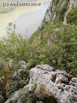 [P21] Dunărea văzută de pe Ciucăru Mare » foto by zlatna
 - 
<span class="allrVoted glyphicon glyphicon-heart hidden" id="av1030464"></span>
<a class="m-l-10 hidden" id="sv1030464" onclick="voting_Foto_DelVot(,1030464,24578)" role="button">șterge vot <span class="glyphicon glyphicon-remove"></span></a>
<a id="v91030464" class=" c-red"  onclick="voting_Foto_SetVot(1030464)" role="button"><span class="glyphicon glyphicon-heart-empty"></span> <b>LIKE</b> = Votează poza</a> <img class="hidden"  id="f1030464W9" src="/imagini/loader.gif" border="0" /><span class="AjErrMes hidden" id="e1030464ErM"></span>