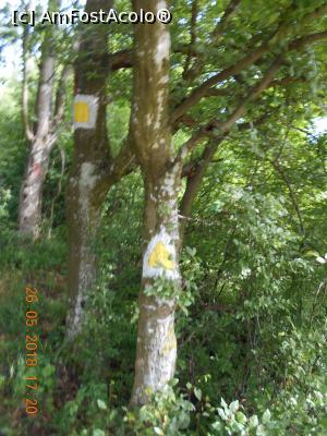 [P04] urmăm taseul marcat cu triunghi galben » foto by zlatna
 - 
<span class="allrVoted glyphicon glyphicon-heart hidden" id="av1030447"></span>
<a class="m-l-10 hidden" id="sv1030447" onclick="voting_Foto_DelVot(,1030447,24578)" role="button">șterge vot <span class="glyphicon glyphicon-remove"></span></a>
<a id="v91030447" class=" c-red"  onclick="voting_Foto_SetVot(1030447)" role="button"><span class="glyphicon glyphicon-heart-empty"></span> <b>LIKE</b> = Votează poza</a> <img class="hidden"  id="f1030447W9" src="/imagini/loader.gif" border="0" /><span class="AjErrMes hidden" id="e1030447ErM"></span>