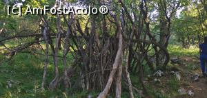 [P18] Intrăm din nou în pădure, un fost adăpost. » foto by Aurici
 - 
<span class="allrVoted glyphicon glyphicon-heart hidden" id="av1172481"></span>
<a class="m-l-10 hidden" id="sv1172481" onclick="voting_Foto_DelVot(,1172481,24578)" role="button">șterge vot <span class="glyphicon glyphicon-remove"></span></a>
<a id="v91172481" class=" c-red"  onclick="voting_Foto_SetVot(1172481)" role="button"><span class="glyphicon glyphicon-heart-empty"></span> <b>LIKE</b> = Votează poza</a> <img class="hidden"  id="f1172481W9" src="/imagini/loader.gif" border="0" /><span class="AjErrMes hidden" id="e1172481ErM"></span>