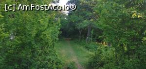 [P22] După această zonă ne-am întâlnit cu o căprioară. » foto by Aurici
 - 
<span class="allrVoted glyphicon glyphicon-heart hidden" id="av1172485"></span>
<a class="m-l-10 hidden" id="sv1172485" onclick="voting_Foto_DelVot(,1172485,24578)" role="button">șterge vot <span class="glyphicon glyphicon-remove"></span></a>
<a id="v91172485" class=" c-red"  onclick="voting_Foto_SetVot(1172485)" role="button"><span class="glyphicon glyphicon-heart-empty"></span> <b>LIKE</b> = Votează poza</a> <img class="hidden"  id="f1172485W9" src="/imagini/loader.gif" border="0" /><span class="AjErrMes hidden" id="e1172485ErM"></span>