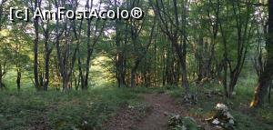 [P24] Din nou la bifurcația de unde începe coborârea. » foto by Aurici
 - 
<span class="allrVoted glyphicon glyphicon-heart hidden" id="av1172487"></span>
<a class="m-l-10 hidden" id="sv1172487" onclick="voting_Foto_DelVot(,1172487,24578)" role="button">șterge vot <span class="glyphicon glyphicon-remove"></span></a>
<a id="v91172487" class=" c-red"  onclick="voting_Foto_SetVot(1172487)" role="button"><span class="glyphicon glyphicon-heart-empty"></span> <b>LIKE</b> = Votează poza</a> <img class="hidden"  id="f1172487W9" src="/imagini/loader.gif" border="0" /><span class="AjErrMes hidden" id="e1172487ErM"></span>