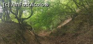 [P27] Prin pădure spre vârful Ciucarul Mic. » foto by Aurici
 - 
<span class="allrVoted glyphicon glyphicon-heart hidden" id="av1172490"></span>
<a class="m-l-10 hidden" id="sv1172490" onclick="voting_Foto_DelVot(,1172490,24578)" role="button">șterge vot <span class="glyphicon glyphicon-remove"></span></a>
<a id="v91172490" class=" c-red"  onclick="voting_Foto_SetVot(1172490)" role="button"><span class="glyphicon glyphicon-heart-empty"></span> <b>LIKE</b> = Votează poza</a> <img class="hidden"  id="f1172490W9" src="/imagini/loader.gif" border="0" /><span class="AjErrMes hidden" id="e1172490ErM"></span>