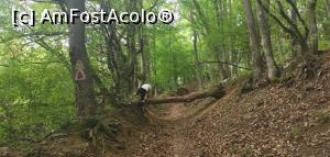 [P29] Decât să mă aplec mai bine îl sar. » foto by Aurici
 - 
<span class="allrVoted glyphicon glyphicon-heart hidden" id="av1172492"></span>
<a class="m-l-10 hidden" id="sv1172492" onclick="voting_Foto_DelVot(,1172492,24578)" role="button">șterge vot <span class="glyphicon glyphicon-remove"></span></a>
<a id="v91172492" class=" c-red"  onclick="voting_Foto_SetVot(1172492)" role="button"><span class="glyphicon glyphicon-heart-empty"></span> <b>LIKE</b> = Votează poza</a> <img class="hidden"  id="f1172492W9" src="/imagini/loader.gif" border="0" /><span class="AjErrMes hidden" id="e1172492ErM"></span>