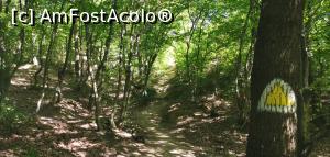 [P03] Ciucarul Mare, triunghi galben, foarte bine marcat tot traseul. » foto by Aurici
 - 
<span class="allrVoted glyphicon glyphicon-heart hidden" id="av1172466"></span>
<a class="m-l-10 hidden" id="sv1172466" onclick="voting_Foto_DelVot(,1172466,24578)" role="button">șterge vot <span class="glyphicon glyphicon-remove"></span></a>
<a id="v91172466" class=" c-red"  onclick="voting_Foto_SetVot(1172466)" role="button"><span class="glyphicon glyphicon-heart-empty"></span> <b>LIKE</b> = Votează poza</a> <img class="hidden"  id="f1172466W9" src="/imagini/loader.gif" border="0" /><span class="AjErrMes hidden" id="e1172466ErM"></span>